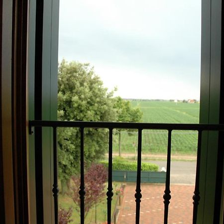 Bed and Breakfast Terzo Bacino Сан-Мікеле-аль-Тальяменто Екстер'єр фото