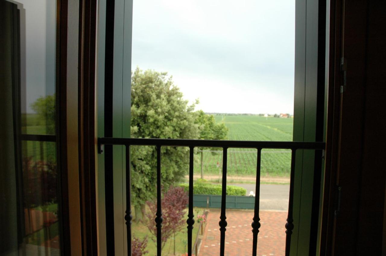 Bed and Breakfast Terzo Bacino Сан-Мікеле-аль-Тальяменто Екстер'єр фото